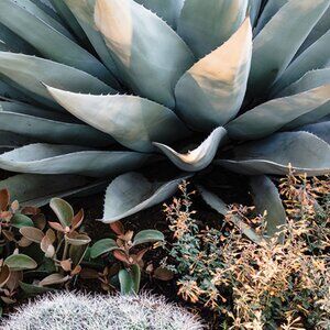 Meet your Posher, Denise